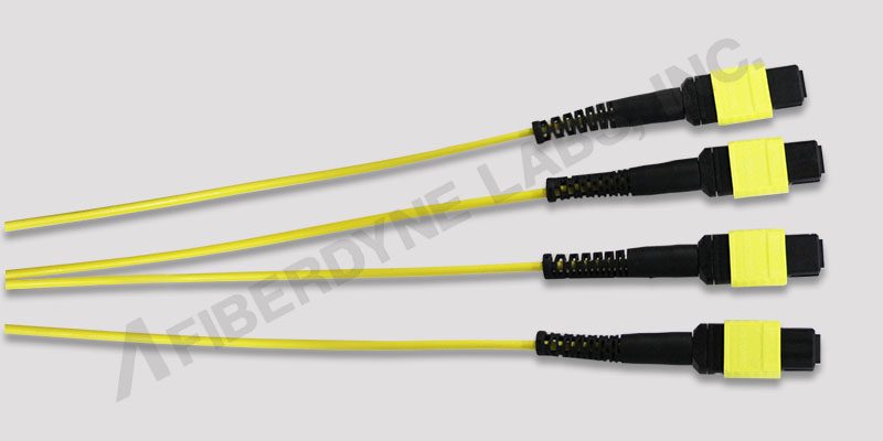 24 Fiber Singlemode MPO-MPO