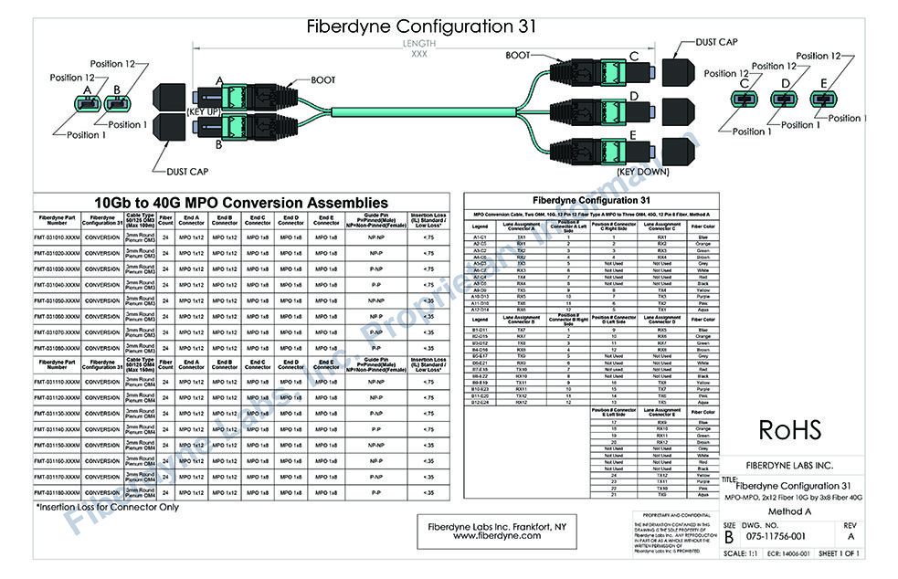 Configuration 31 MPO Conversion Cable, Two OM4, 10G, 12 Pin 12 Fiber Type A MPO to Three OM4, 40G, 12 Pin 8 Fiber Method A