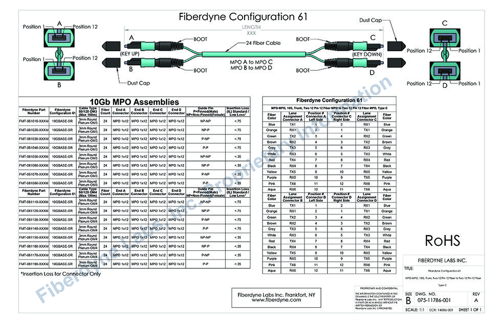 Configuration 61 MPO-MPO, 10G, Trunk, Two 12 Pin 12 Fiber MPO to Two 12 Pin 12 Fiber MPO, Type C
