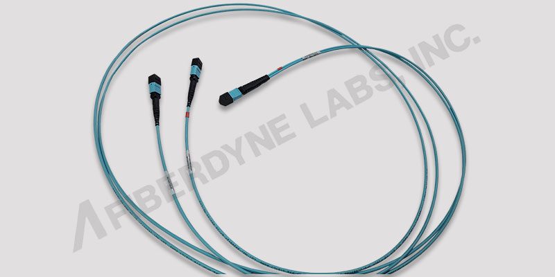 Configuration 7 MPO-MPO Y Cable, 24 Pos 24 Fiber to Two 12 Pos 12 Fiber, Type A