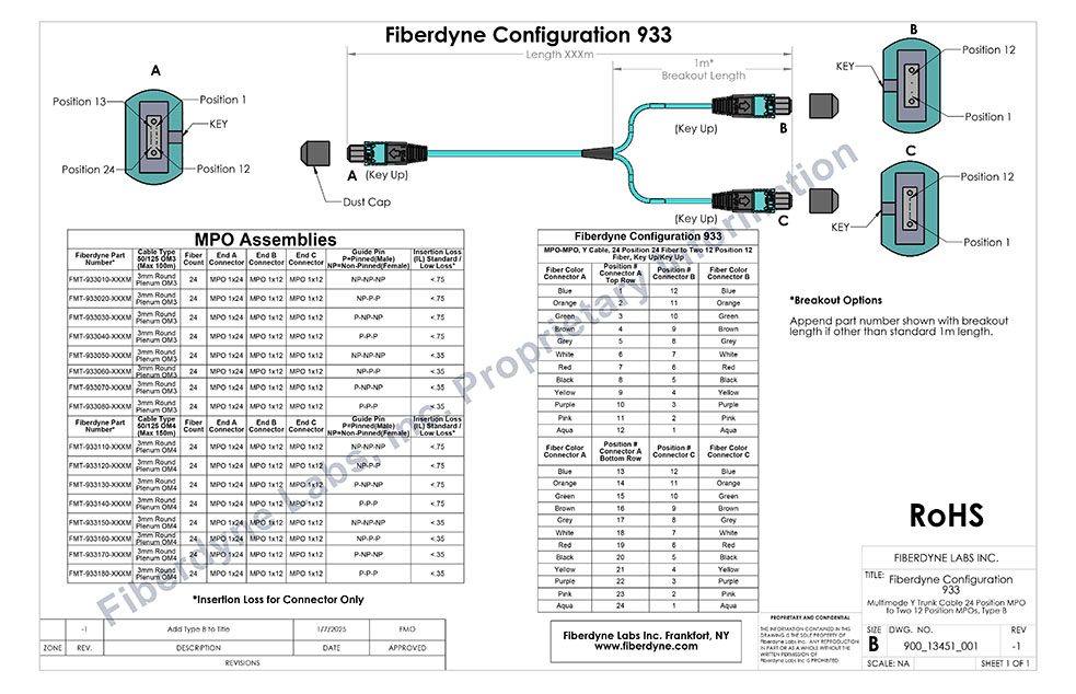 Configuration 933 Y Trunk Cable 24 Position MPO to Two 12 Position MPOs, Type B