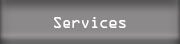 Professional Services