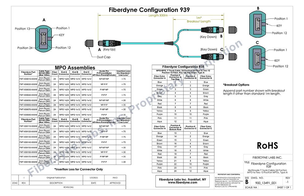 Configuration 939 Y Trunk Cable 24 Position MPO to Two 12 Position MPOs, Type A