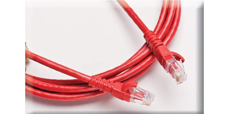 Dolphin Patch Cords